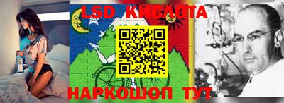 мдпв Кулебаки